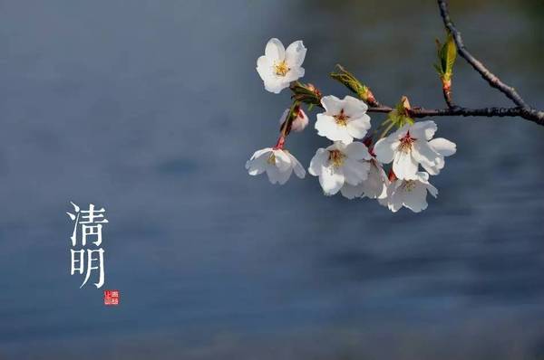 2016清明节放假通知